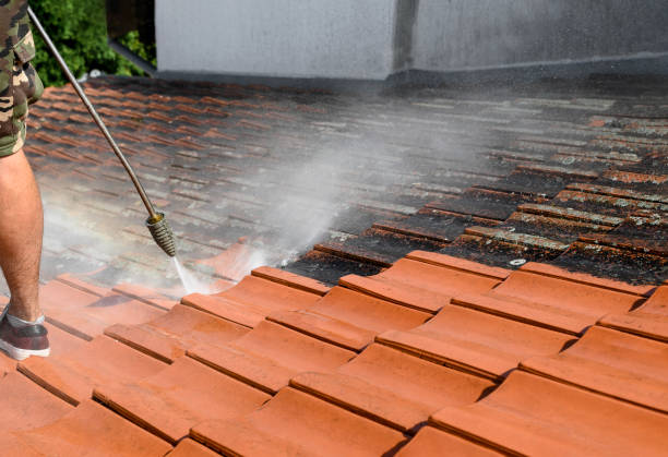 Local Pressure Washing Services in Lake Mathews, CA