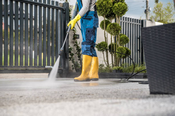 Best Local Pressure Washing Services  in Lake Mathews, CA