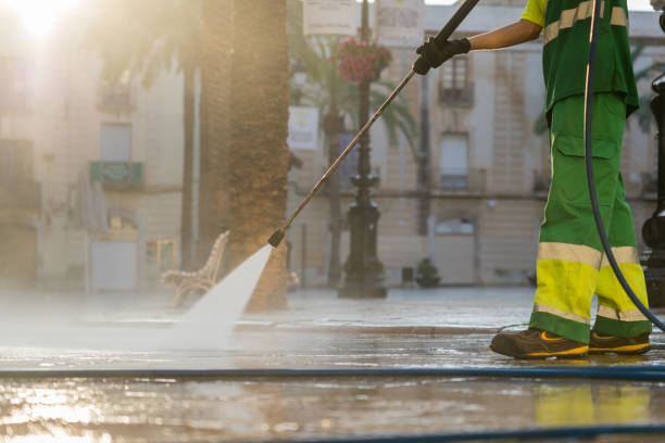 Best Pressure Washing Driveway  in Lake Mathews, CA